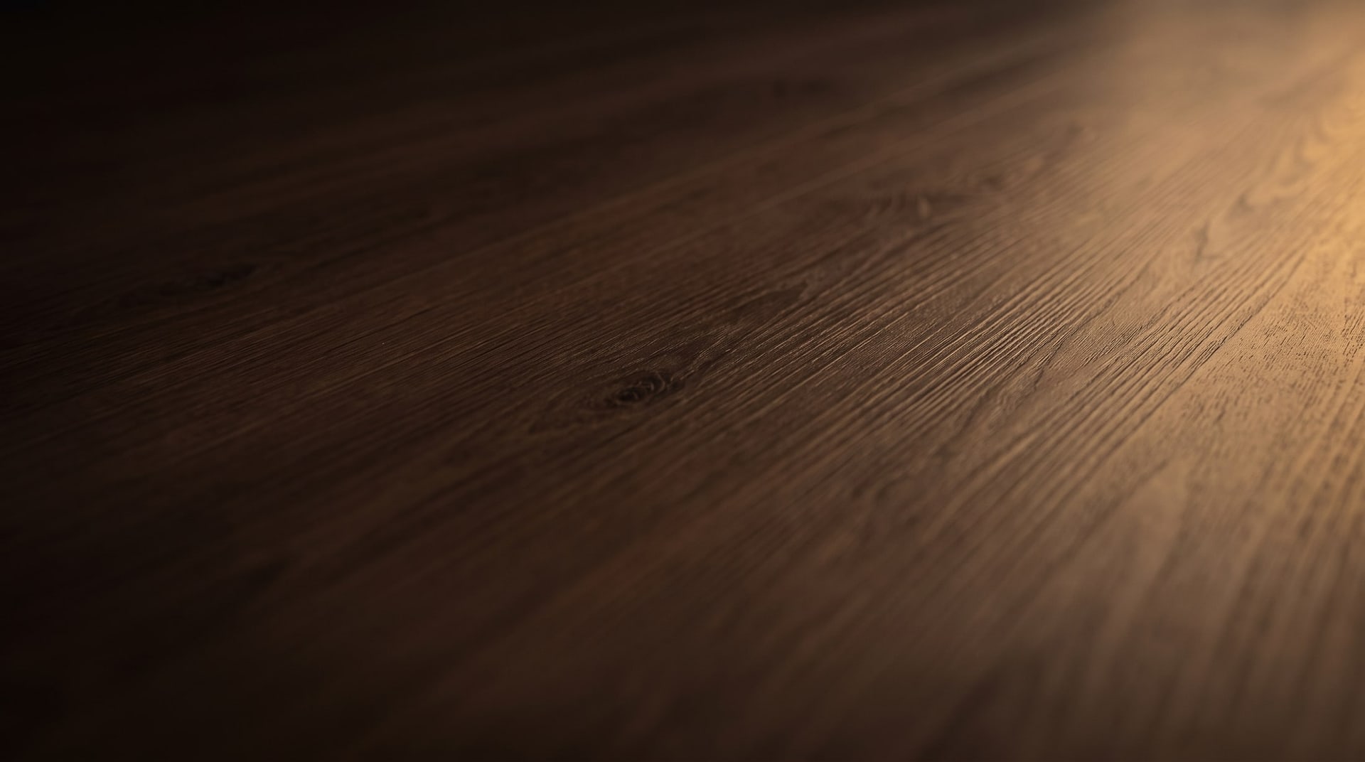 A dark walnut-toned timber floor photographed close up, raked by low golden light.
